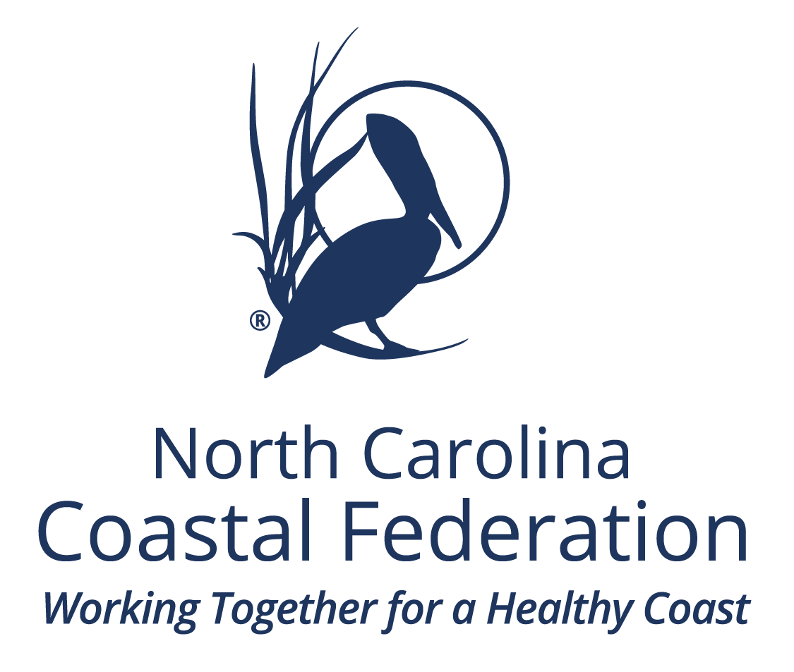 NCCF logo